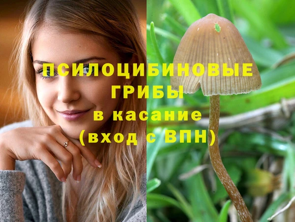каннабис Аркадак